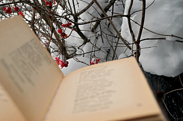 Similar image 22712273