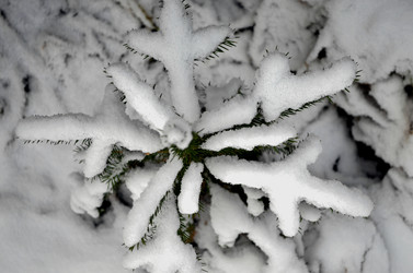 Similar image 22712279