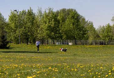 Similar image 22712063