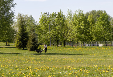Similar image 22712064