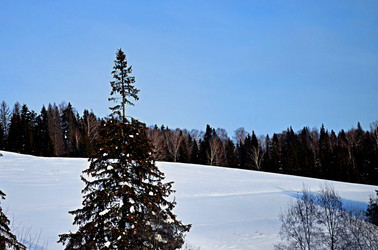 Similar image 22712283