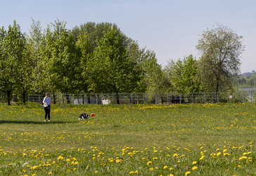 Similar image 22712068