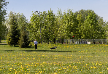 Similar image 22712077