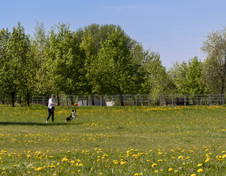 Similar image 22712078
