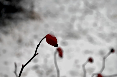 Similar image 22712290