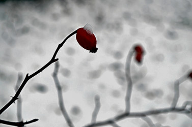 Similar image 22712292