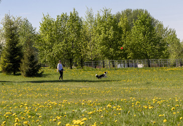 Similar image 22712080