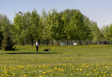 Similar image 22712081
