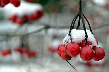 Similar image 22712293