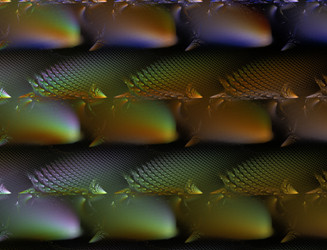 Similar image 22708865