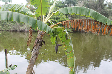 Similar image 22712508