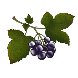 Similar image 22702312