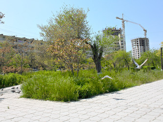 Similar image 22702316