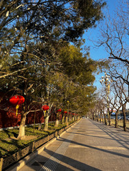 Similar image 22718046