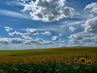 Similar image 22718048