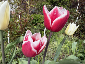 Similar image 22712141