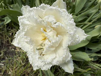 Similar image 22712143