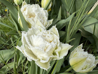 Similar image 22712144