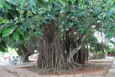 Similar image 22712478