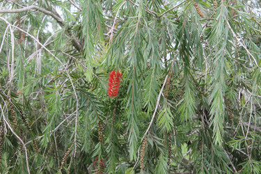 Similar image 22712479
