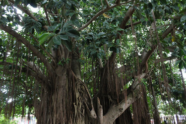 Similar image 22712480