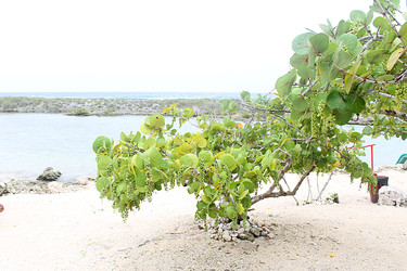 Similar image 22712481