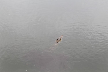 Similar image 22712482