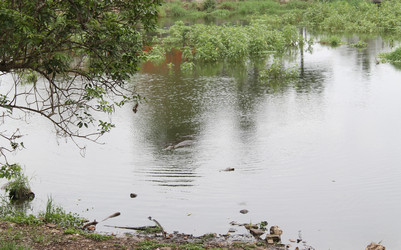 Similar image 22712483