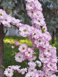 Similar image 22712025