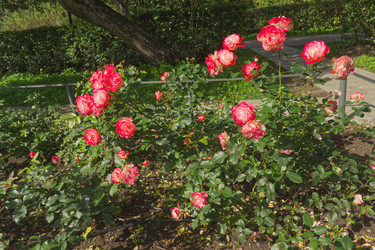 Similar image 22712026
