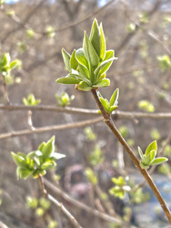 Similar image 22712027