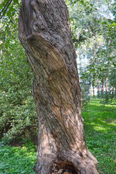 Similar image 22712034