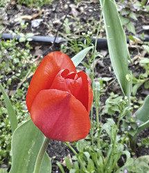 Similar image 22712035