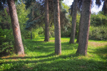 Similar image 22712039