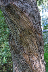 Similar image 22712054