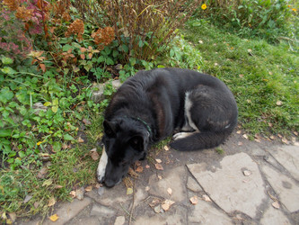 Similar image 22712471
