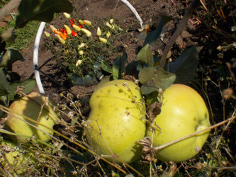 Similar image 22712472