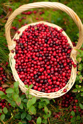 Similar image 22709088
