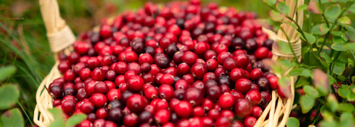 Similar image 22709089