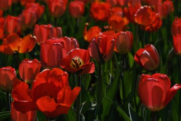 Similar image 22711091