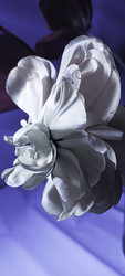 Similar image 22735443