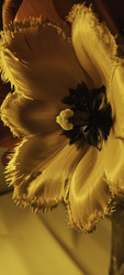 Similar image 22735444