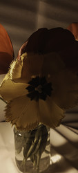 Similar image 22735458