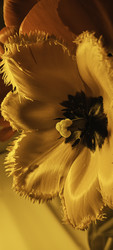 Similar image 22735459