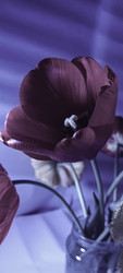 Similar image 22735460