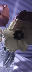 Similar image 22735461