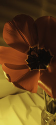 Similar image 22735462