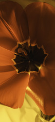 Similar image 22735464