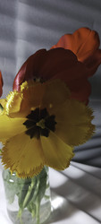 Similar image 22735465