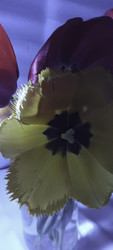 Similar image 22735466
